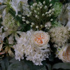 delf (duurzaam) - Afbeelding 2