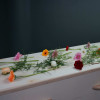 sien (duurzaam) - Afbeelding 5