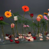 sien (duurzaam) - Afbeelding 6