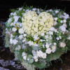 fient (duurzaam) - Afbeelding 2