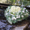 fient (duurzaam) - Afbeelding 3
