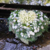 fient (duurzaam) - Afbeelding 4