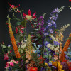 hook (duurzaam) - Afbeelding 4