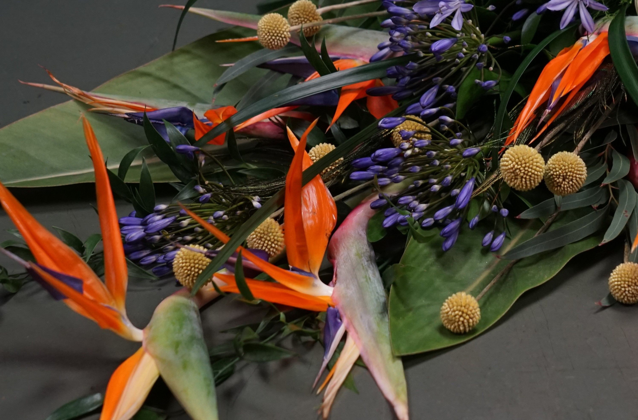 stree - Afbeelding 2